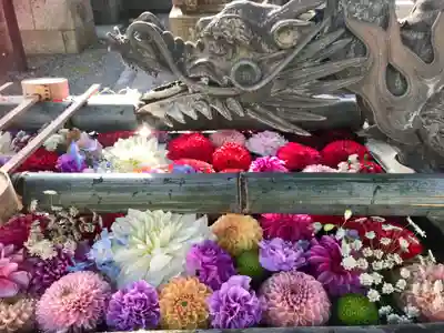 柳谷観音 楊谷寺の手水舎