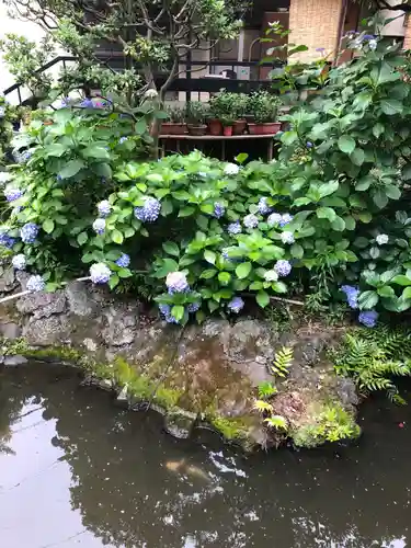 富岡八幡宮の庭園