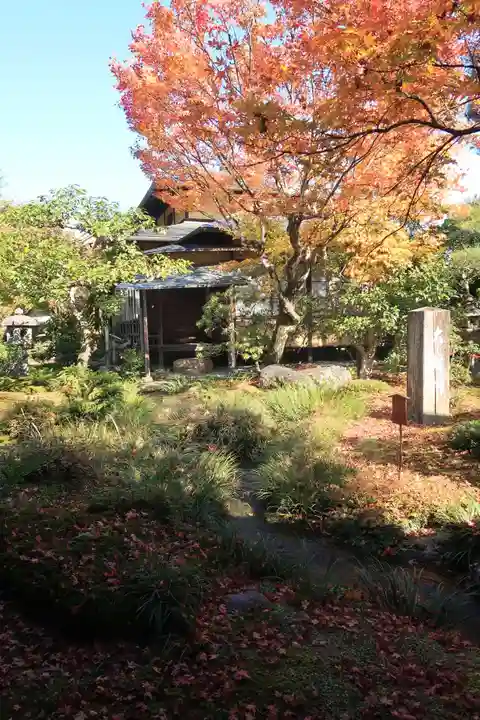 天龍寺(京都府)