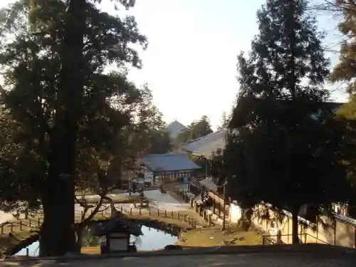 東大寺の景色