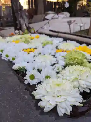 法輪寺の手水舎