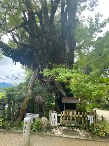 葛城一言主神社(奈良県)