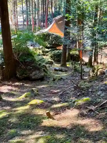 戸隠神社の本殿