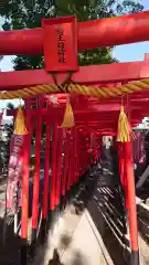 白山神社（名塚白山社）の鳥居