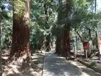 日吉神社の自然