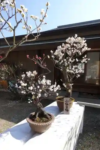 菅原天満宮（菅原神社）(奈良県)