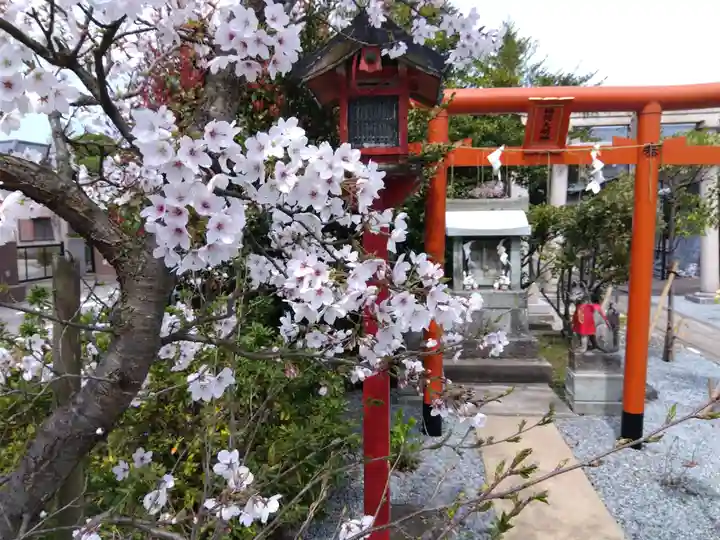 總社 和田八幡宮(福井県)