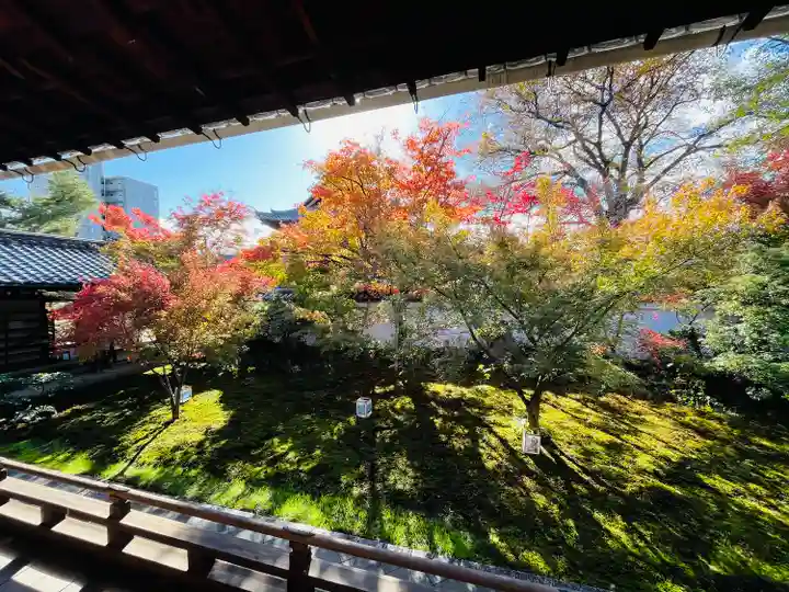 興聖寺(京都府)