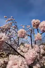 醍醐寺(京都府)