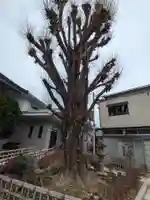念速寺(東京都)