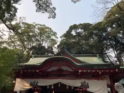 來宮神社(静岡県)