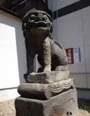 北見神社の狛犬