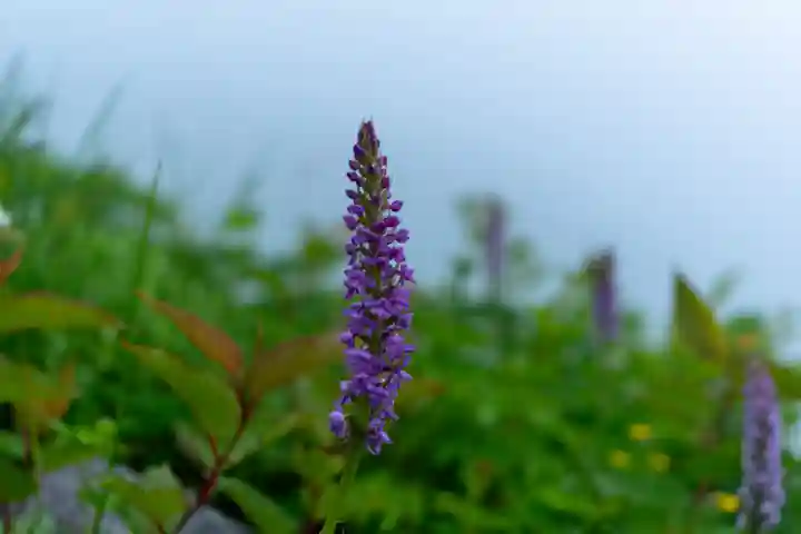白山比咩神社 奥宮(石川県)