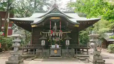 杵築大社の本殿・本堂