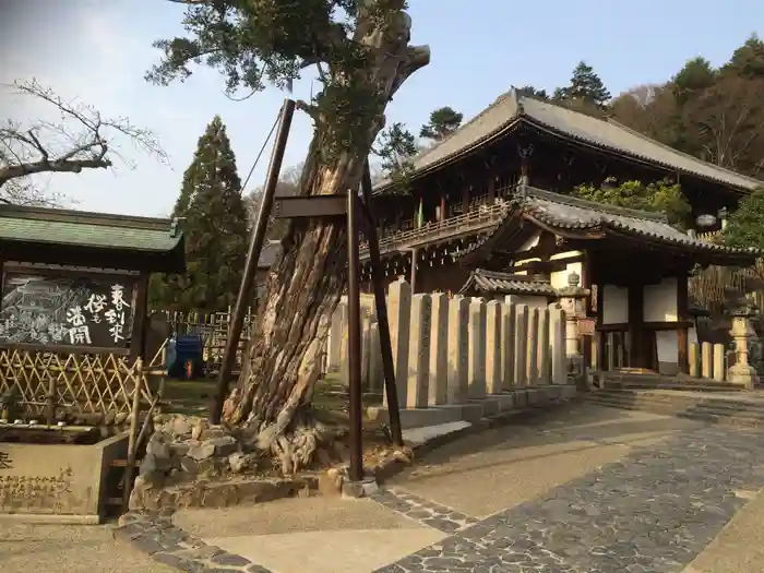 東大寺二月堂の建物その他