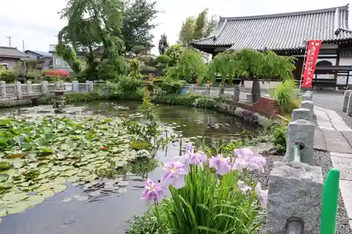 圓照寺(埼玉県)