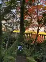 来宮神社(静岡県)