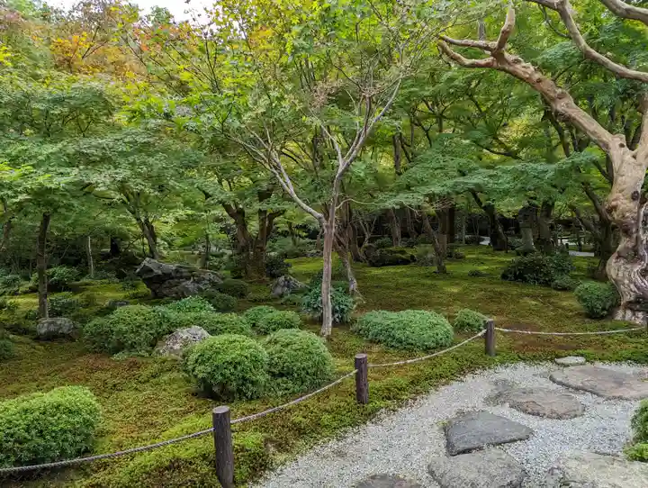 圓光寺(京都府)