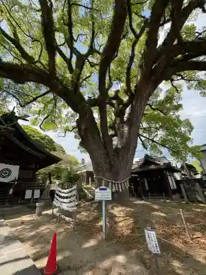 艮神社の{uncategorized: "未分類", other: "その他", undefined: "問題あり", building: "その他建物", grave: "お墓", sacred_gate: "鳥居", guardian: "狛犬", statue: "像", buddha: "仏像", history: "歴史", nature: "自然", garden: "庭園", animal: "動物", pagoda: "塔", temizu: "手水舎", mountain_gate: "山門・神門", sanctuary: "本殿・本堂", subordinate: "末社・摂社", art: "芸術", scenery: "景色", jizo: "地蔵", ema: "絵馬", goshuin: "御朱印", omikuji: "おみくじ", items: "授与品その他", amulet: "お守り", goshuincho: "御朱印帳", eats: "食事", festival: "お祭り", votive_dance: "神楽", shichigosan: "七五三参", wedding: "結婚式", experience: "体験その他", initially: "初詣", around: "周辺", anti_infection: "感染症対策"}
