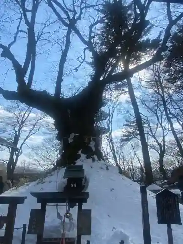 熊野皇大神社(長野県)