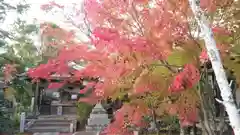 霊山寺（仁和寺塔頭）の建物その他