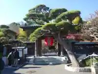 長谷寺の山門・神門