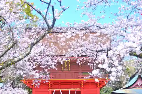 富士山本宮浅間大社(静岡県)