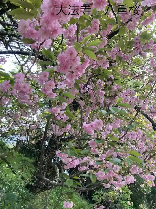 国宝 大法寺(長野県)