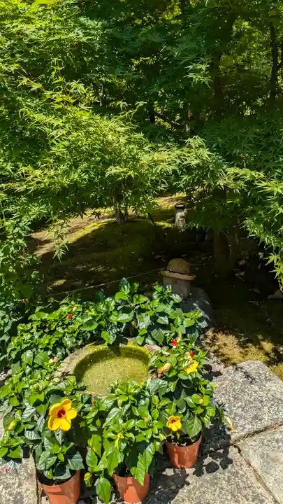 勝林寺(京都府)