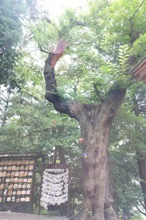 天照皇大神(神奈川県)
