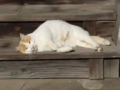 菅原神社(新潟県)