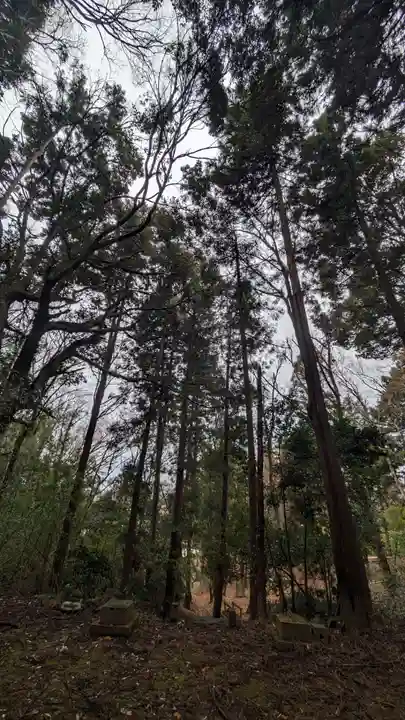 子ノ神社(東京都)