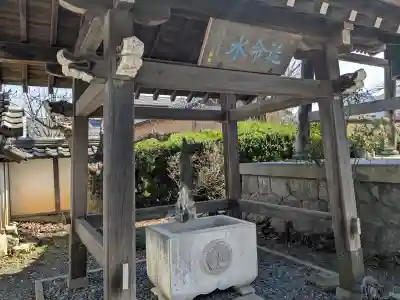 西福寺の{uncategorized: "未分類", other: "その他", undefined: "問題あり", building: "その他建物", grave: "お墓", sacred_gate: "鳥居", guardian: "狛犬", statue: "像", buddha: "仏像", history: "歴史", nature: "自然", garden: "庭園", animal: "動物", pagoda: "塔", temizu: "手水舎", mountain_gate: "山門・神門", sanctuary: "本殿・本堂", subordinate: "末社・摂社", art: "芸術", scenery: "景色", jizo: "地蔵", ema: "絵馬", goshuin: "御朱印", omikuji: "おみくじ", items: "授与品その他", amulet: "お守り", goshuincho: "御朱印帳", eats: "食事", festival: "お祭り", votive_dance: "神楽", shichigosan: "七五三参", wedding: "結婚式", experience: "体験その他", initially: "初詣", around: "周辺", anti_infection: "感染症対策"}