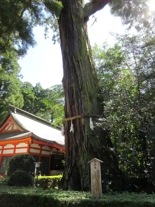 香取神宮のその他建物