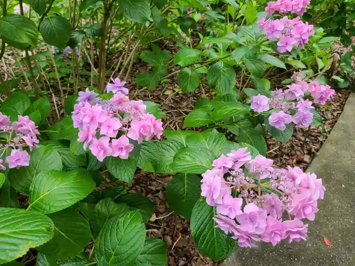 筥崎宮(福岡県)