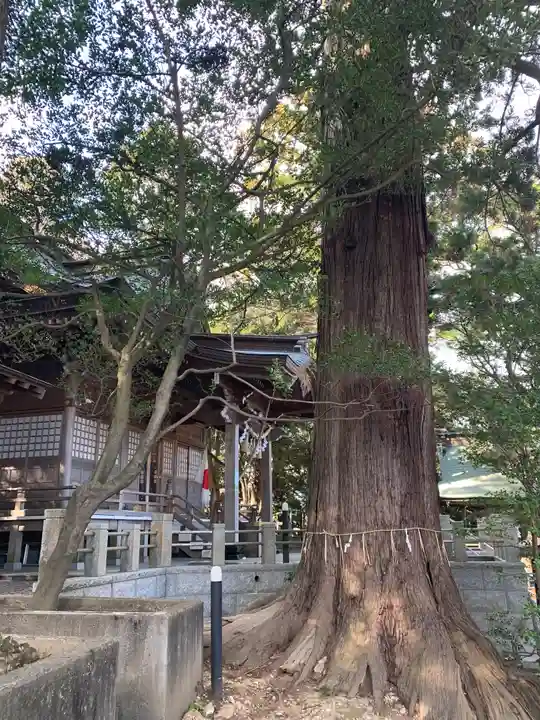 艫神社の自然
