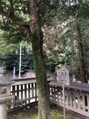 清瀧宮(東笠取清瀧宮)の自然