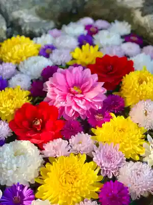 伊達神社の手水舎