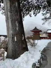 中禅寺(栃木県)