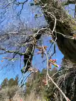 北野神社(福島県)