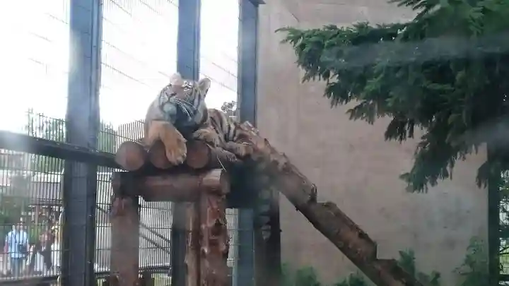 旭川神社の動物