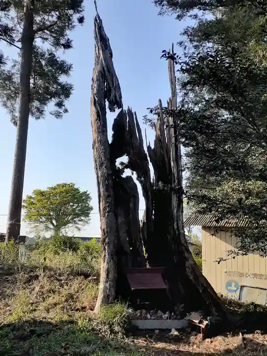 高岡神社の自然