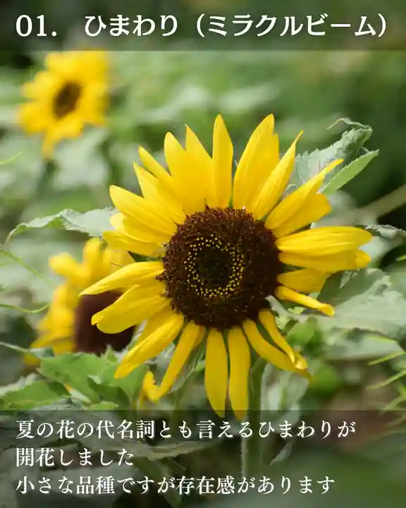 宝光寺(北海道)