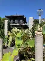 日蓮宗龍口山本龍寺(神奈川県)