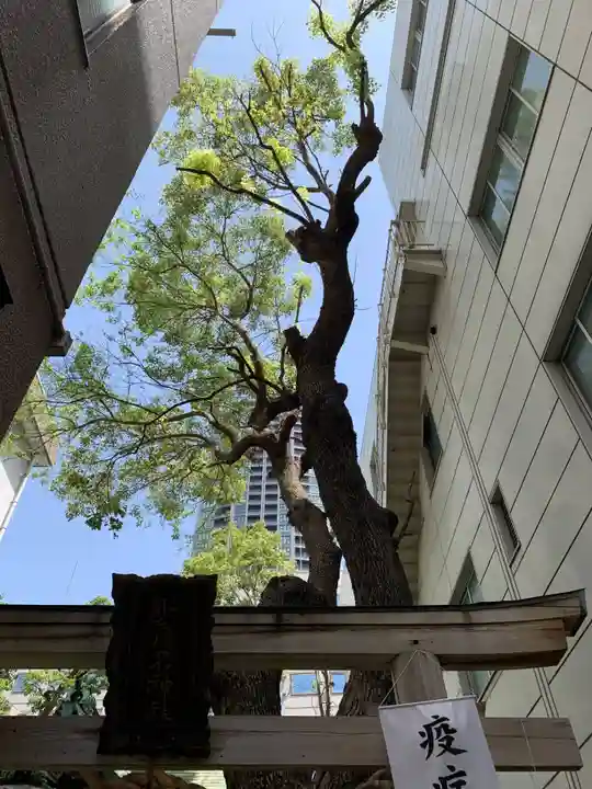 少彦名神社(大阪府)