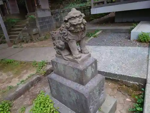 熊野神社（杉田・中原）の狛犬