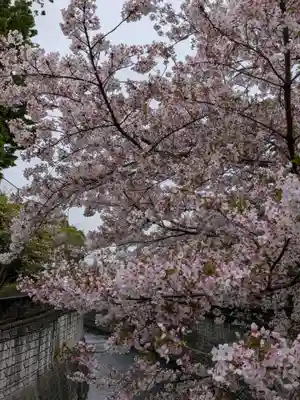 東光寺(東京都)