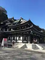 長谷寺の本殿・本堂