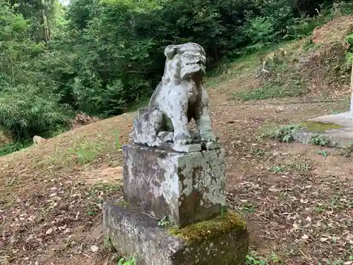 山神社の狛犬