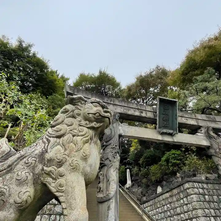 品川神社の狛犬